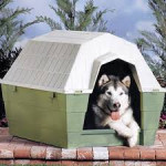 Dog House 狗屋